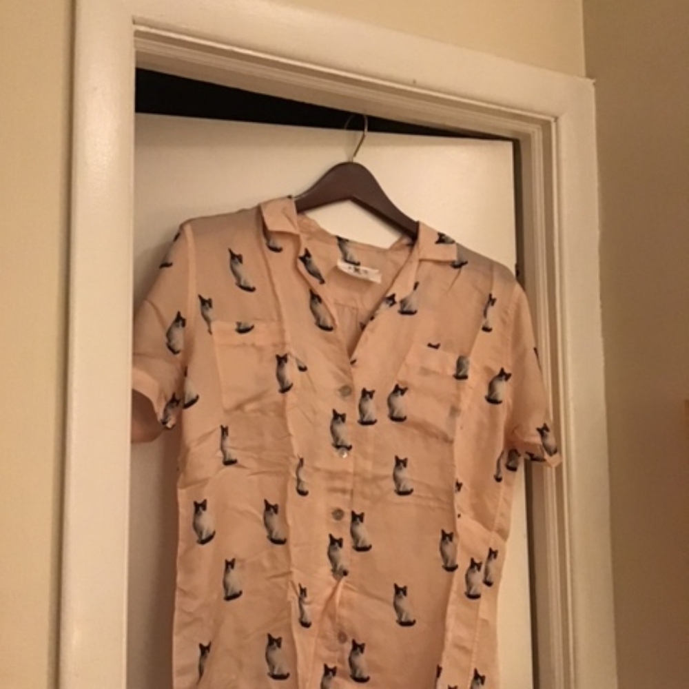 Cute Silk blouse